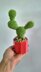 Prickly pear cactus