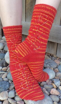 Griffindor Transfiguration Socks