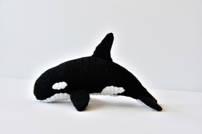 Orca Whale