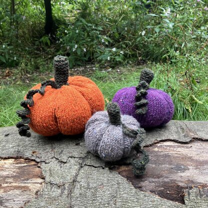 Pumpkin Patch Family [knit]