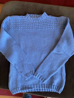 Jumper for Leo