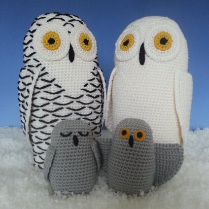 Snowy Owls