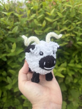 Valais Black Nose Sheep