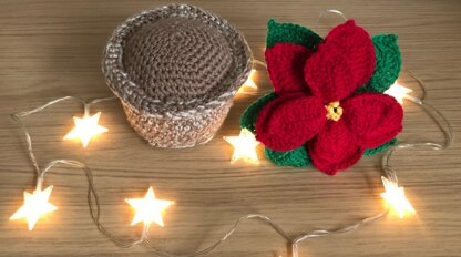 Poinsettia and Pot