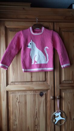 Cat on a Sweater #2