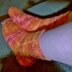 Toasty Toes Loom Knit Socks