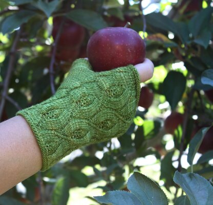 Garden of Eden Fingerless Gloves