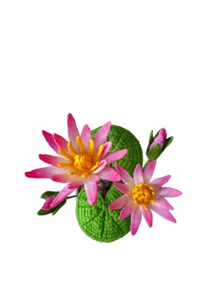 Crochet Water lily flowers pattern