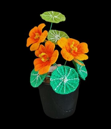 Crochet Nasturtium flowers