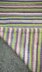 Sprinkle of Spring Blanket