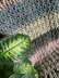 7 Day Blanket