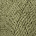 Fern (5606)