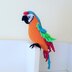 Macaw parrots