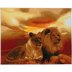 Crystal Art Lions of the Savannah, 40x50cm Diamond Painting Kit