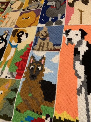 Dogghan C2C Blanket