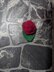 Blooming Rose Hair Clip
