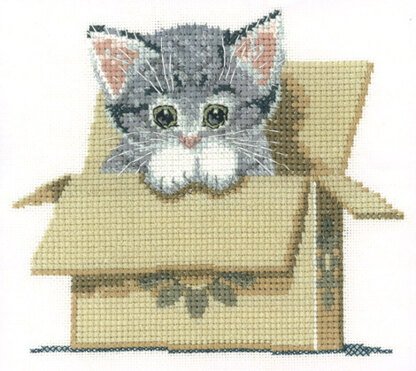 Heritage Cat in Box, 14 count Aida Cross Stitch Kit - 13cm x 11.5cm