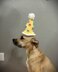 Dog Birthday Hat