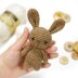Eleanor the Tiny Bunny