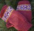 Colour Winter Bright Fingerless Mitts