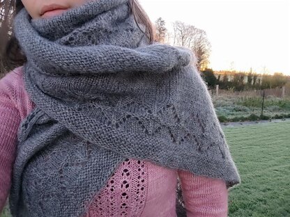 Drimys shawl