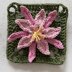 Grewia Flower Granny Square