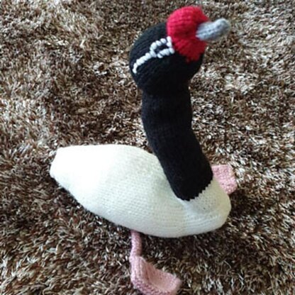 Knitted Black Necked Swan