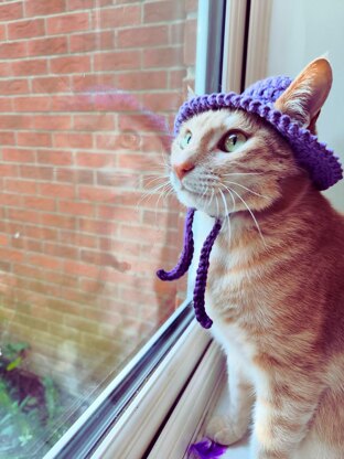 Summer Purple Cat hat