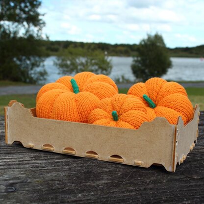 Snuggly Pumpkins