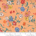 „Lady Bird“ von Moda Fabrics – 11871-19 – Cantaloupe