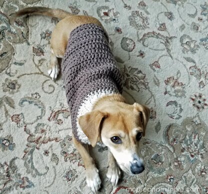 Earhart Dog Sweater UK TERMS 1214