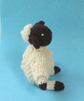 Lamb in cable jumper