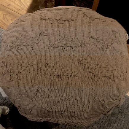 Dinosaur blanket #2
