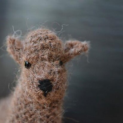 Alpaca