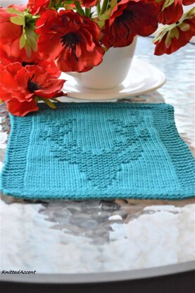 Dishcloth6