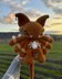 Little Web Monster - Crochet Pattern