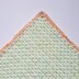 Melon Shake baby blanket