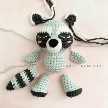 Raphael the Mini Raccoon