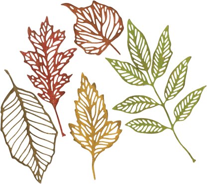 Sizzix Thinlits Dies By Tim Holtz 5/Pkg - Skeleton Leaves