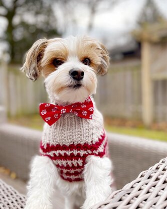 Eddie Striped Dog Sweater