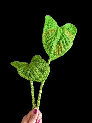 Crochet Elephant ear/Zebrina plant