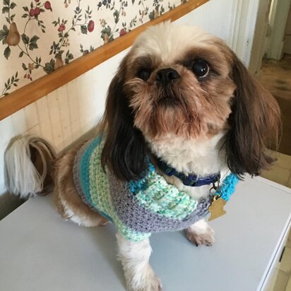 TJ's Dog Sweater