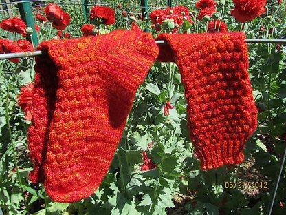 Poppies in the Garden