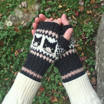 Curious Cats - knitting pattern