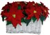 Poinsettia Holiday Decor