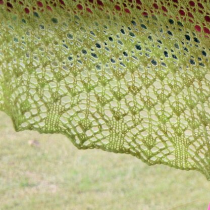 Calanthia Shawl