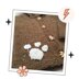 Barnaby Bear Hooded Cardigan
