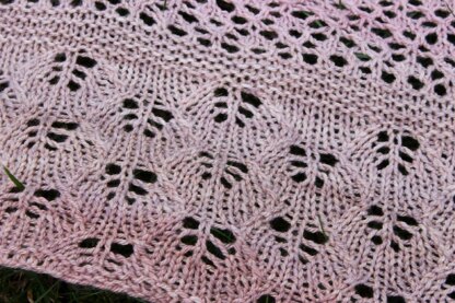 Dogwood Shawl