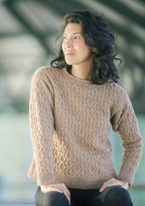 Cascade Yarns DK654 Hollow Oak Pullover (Free)