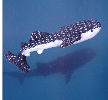 Whale shark & suckerfish